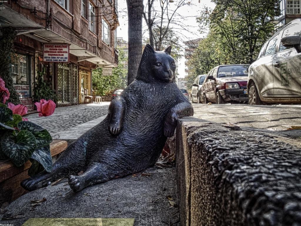 អំពី KH19: ការអភិវឌ្ឍន៍និងប្រើប្រាស់